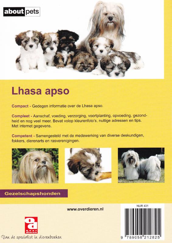 Achterkant van Lhasa apso