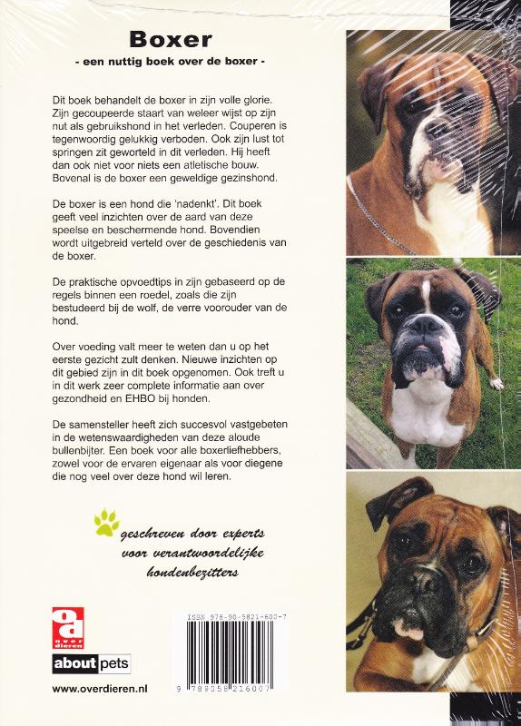 Achterkant van Boxer