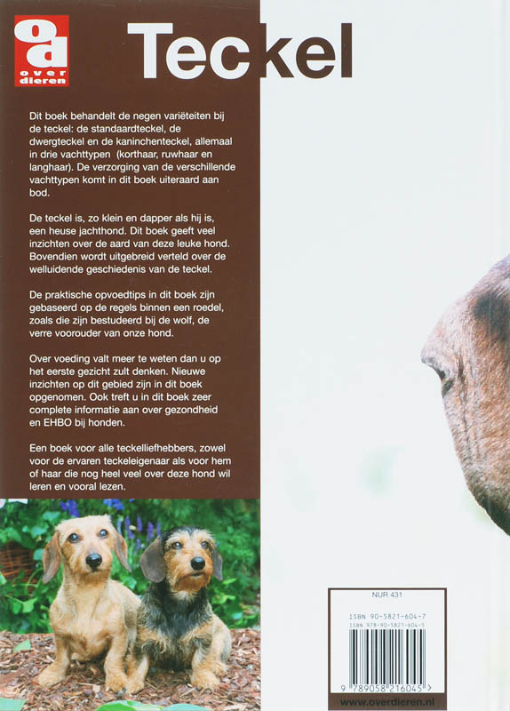 Achterkant van Teckel