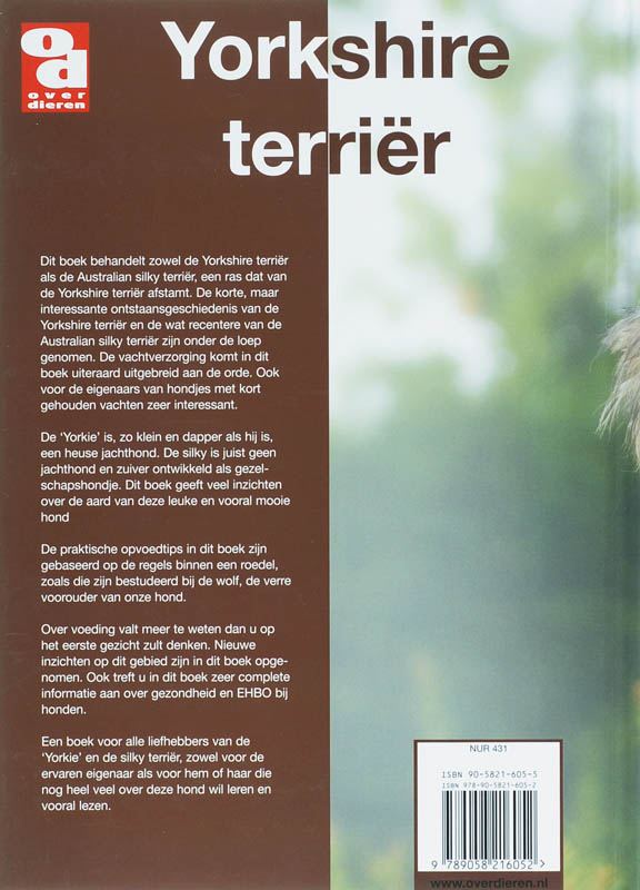 Achterkant van Yorkshire terrier