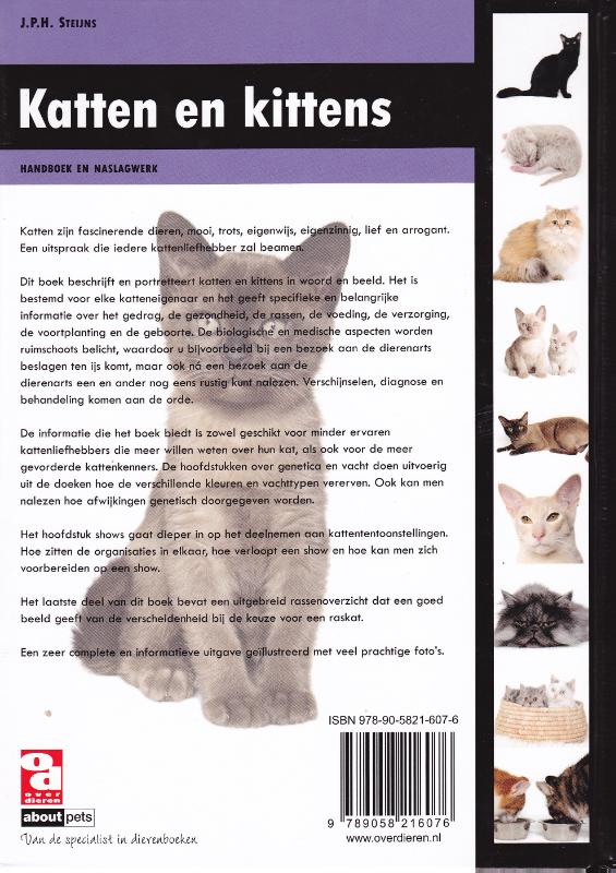 Achterkant van Katten en kittens