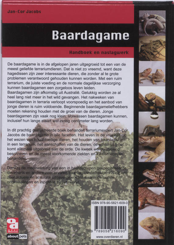 Achterkant van Baardagamen