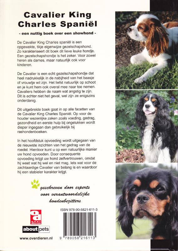 Achterkant van Cavalier King Charles spaniël