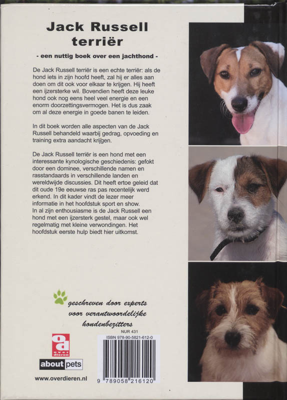 Achterkant van Jack Russell terriër