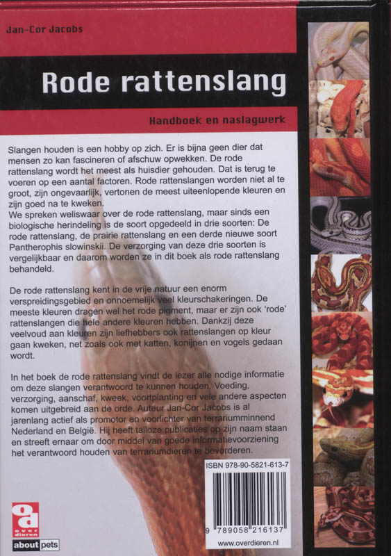Achterkant van Rode rattenslang