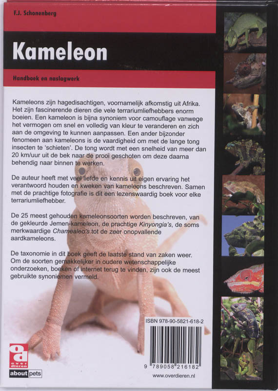 Achterkant van Kameleon