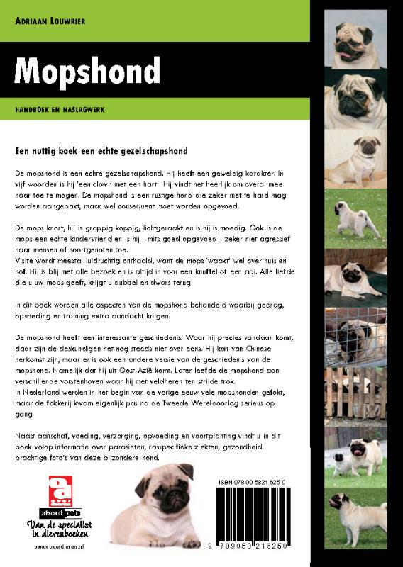 Achterkant van Mopshond