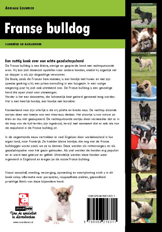 Achterkant van Franse bulldog
