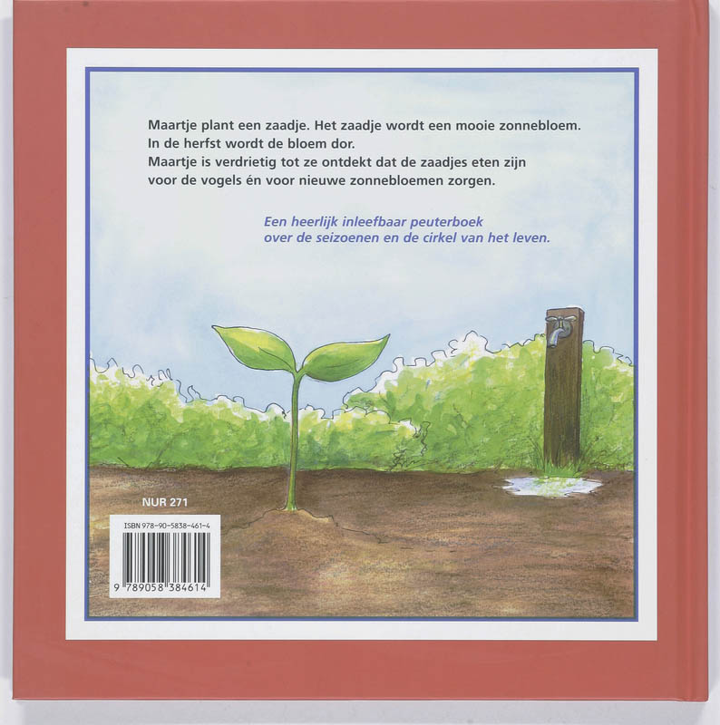 Achterkant van Zonnebloem