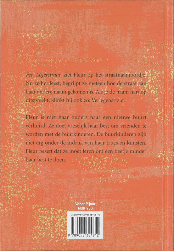 Achterkant van De Verlegenstraat