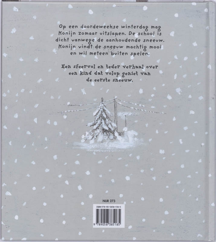 Achterkant van Sneeuw!