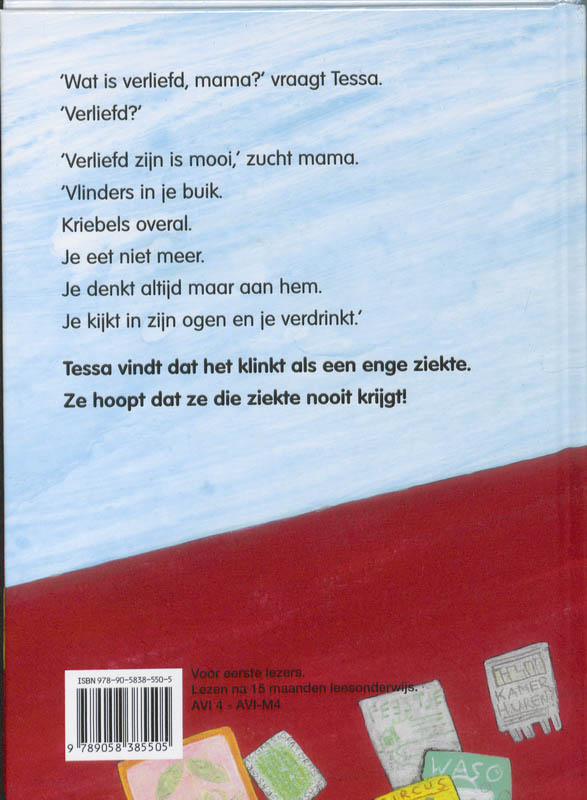Achterkant van De vlieger