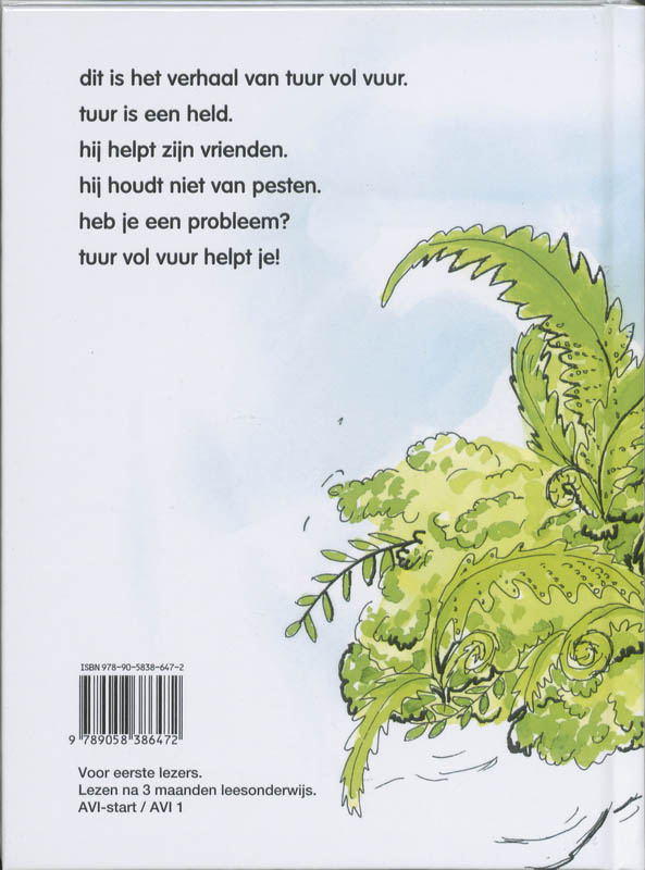 Achterkant van Tuur vol vuur