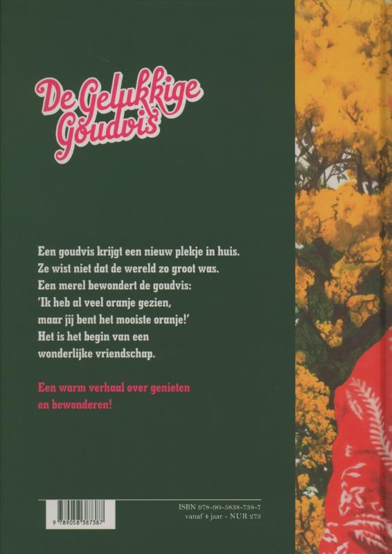Achterkant van De gelukkige goudvis
