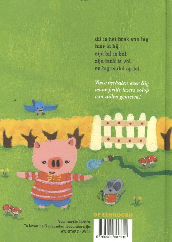 Achterkant van Het boek van big