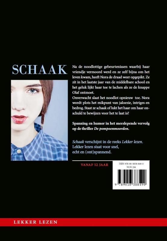 Achterkant van Schaak