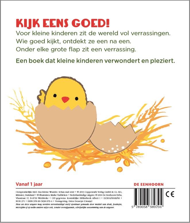 Achterkant van Het kleine wonder
