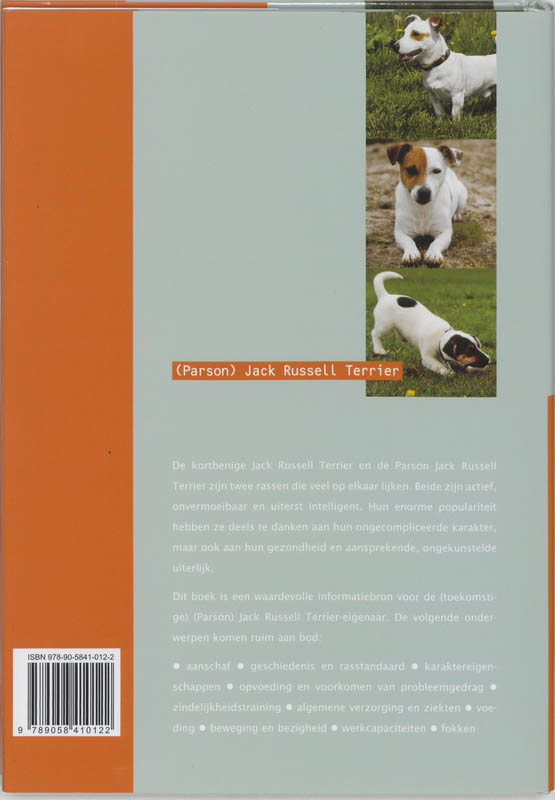 Achterkant van Jack Russel Terrier