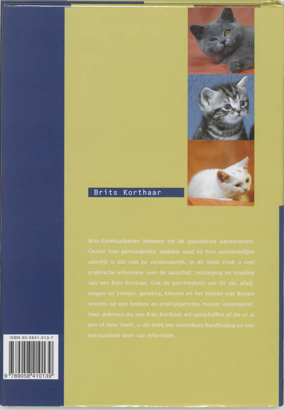 Achterkant van Britse Korthaar