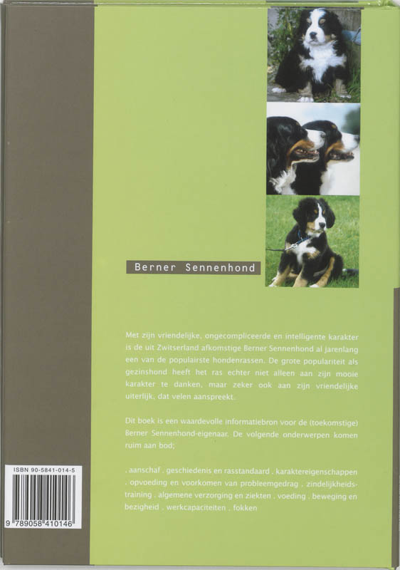 Achterkant van Berner Sennenhond