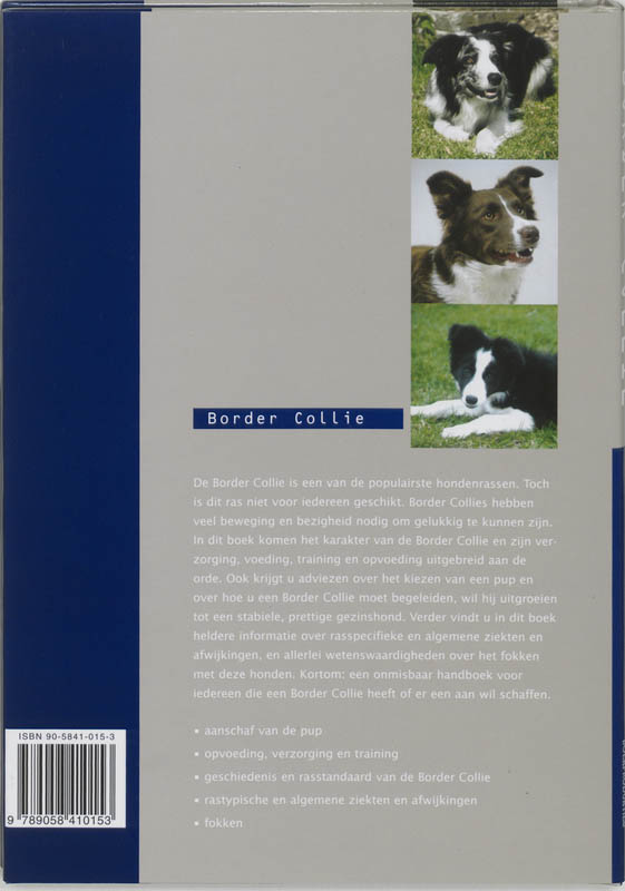 Achterkant van Border Collie