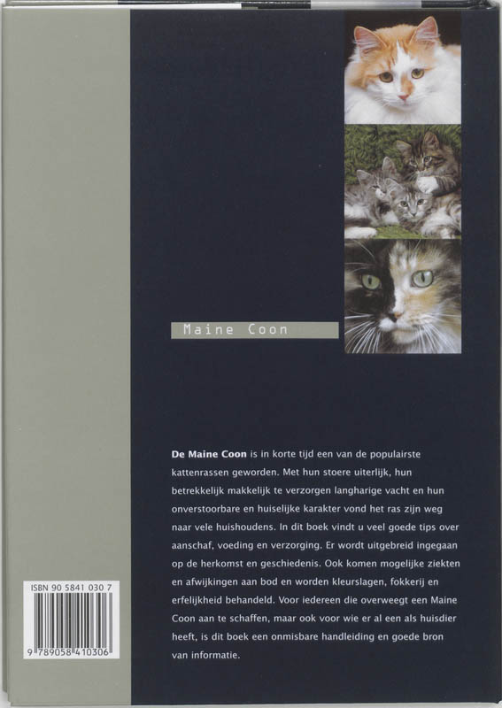 Achterkant van Maine Coon