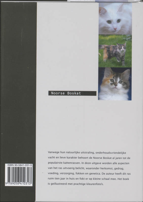 Achterkant van Noorse Boskat