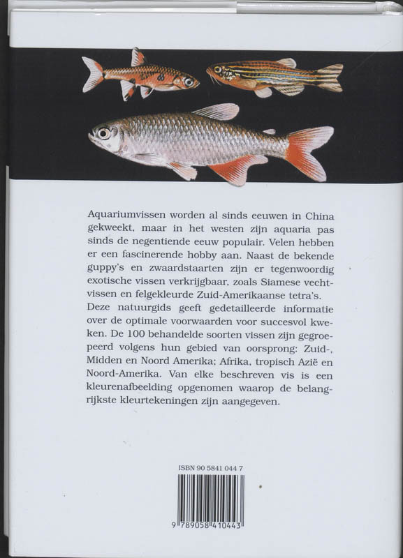 Achterkant van Aquariumvissen