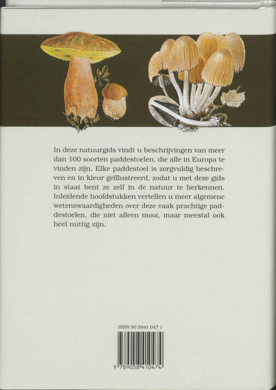 Achterkant van Paddestoelen