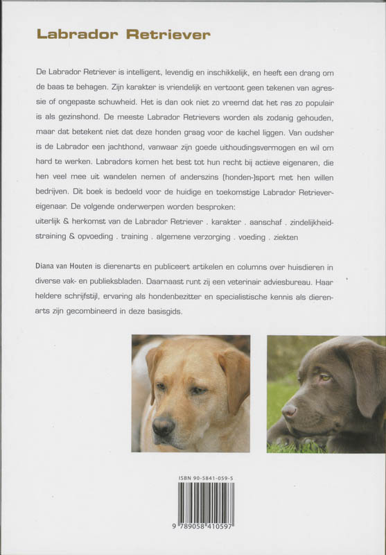 Achterkant van Labrador Retriever