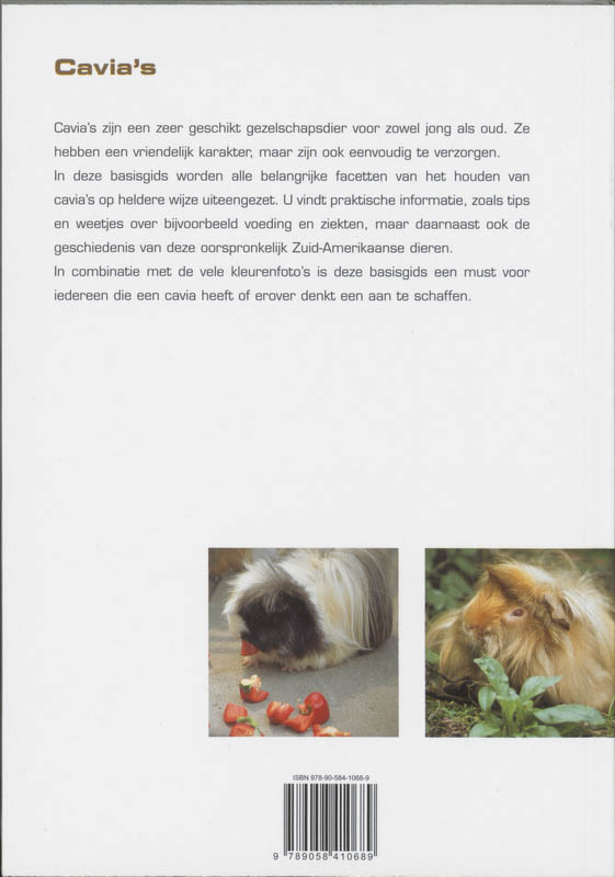 Achterkant van De Cavia