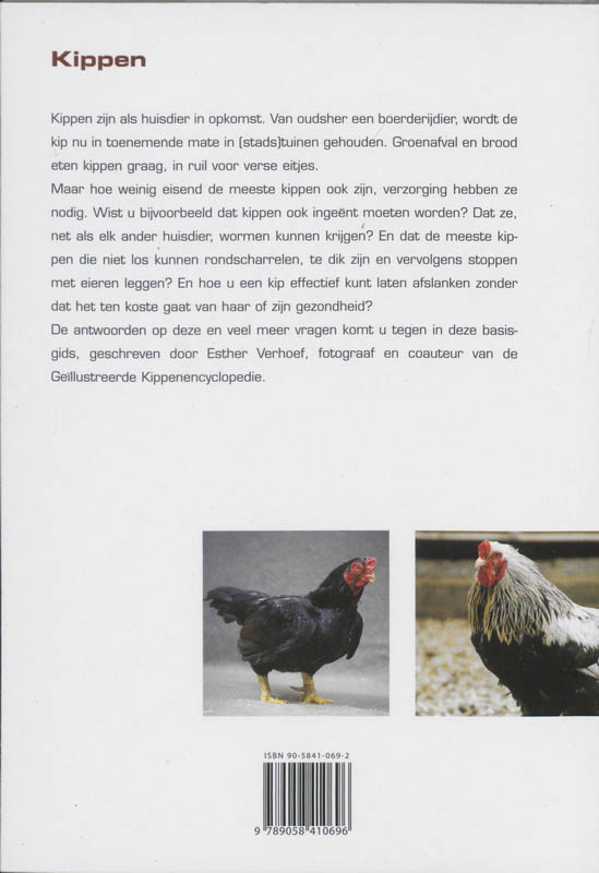 Achterkant van Kippen