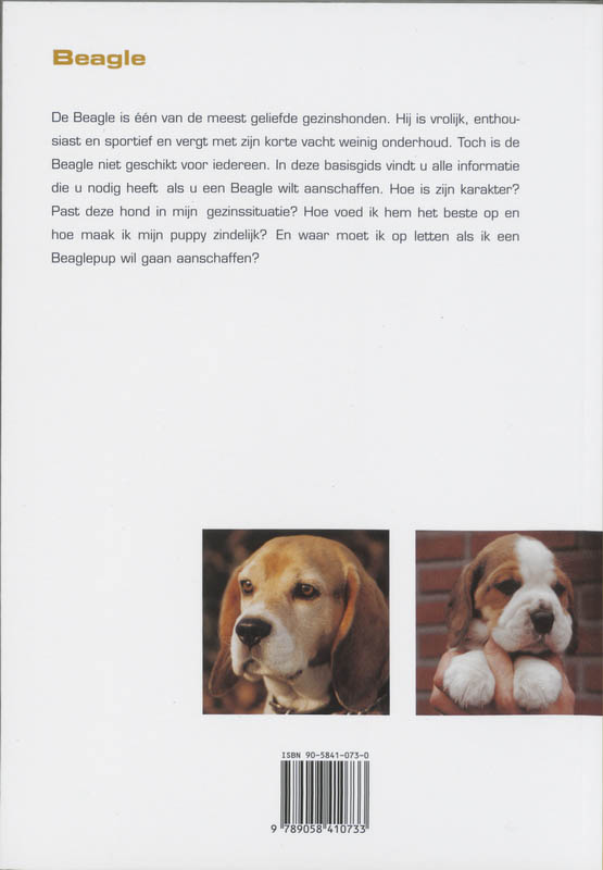 Achterkant van De Beagle