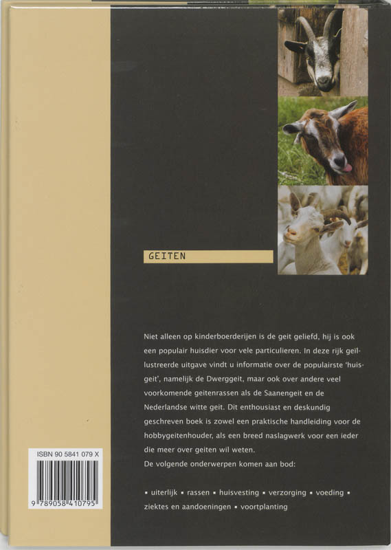 Achterkant van Geiten