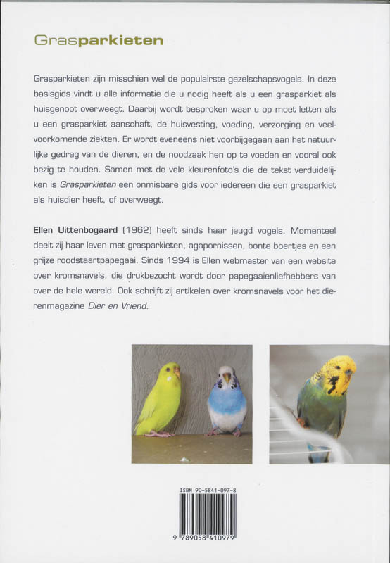 Achterkant van Grasparkieten