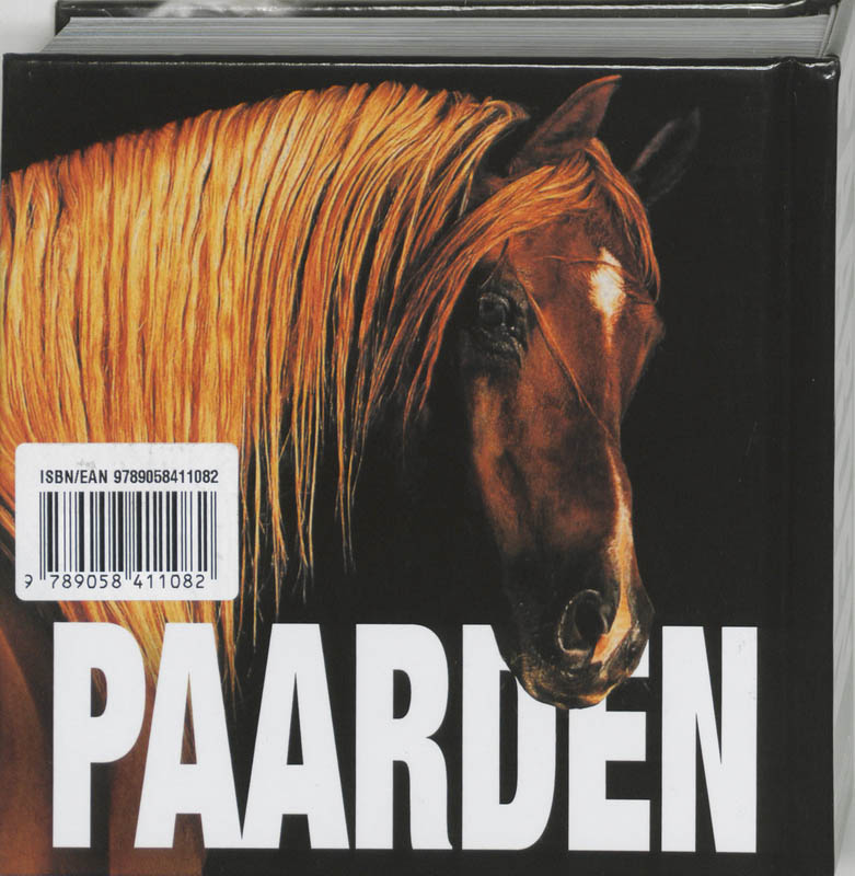 Achterkant van Paarden