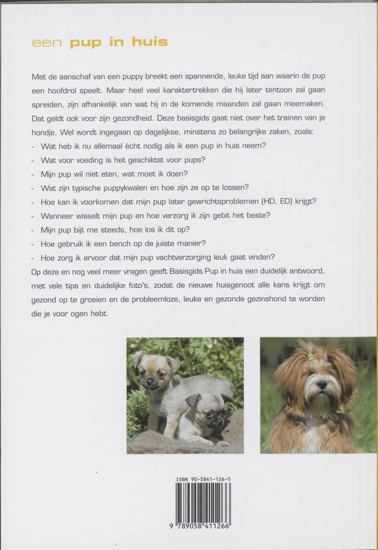 Achterkant van Een pup in huis