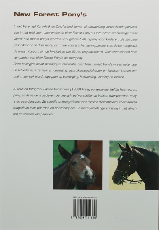 Achterkant van New Forest Pony