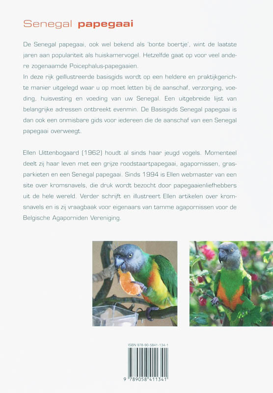Achterkant van Senegal Papegaai