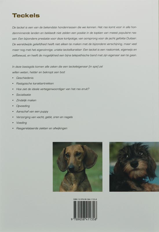 Achterkant van Teckels