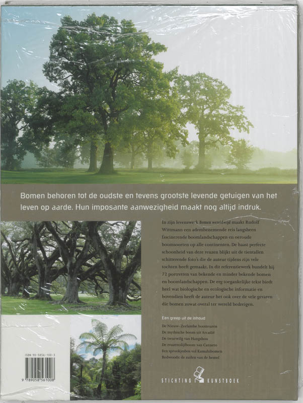 Achterkant van Bomen wereldwijd