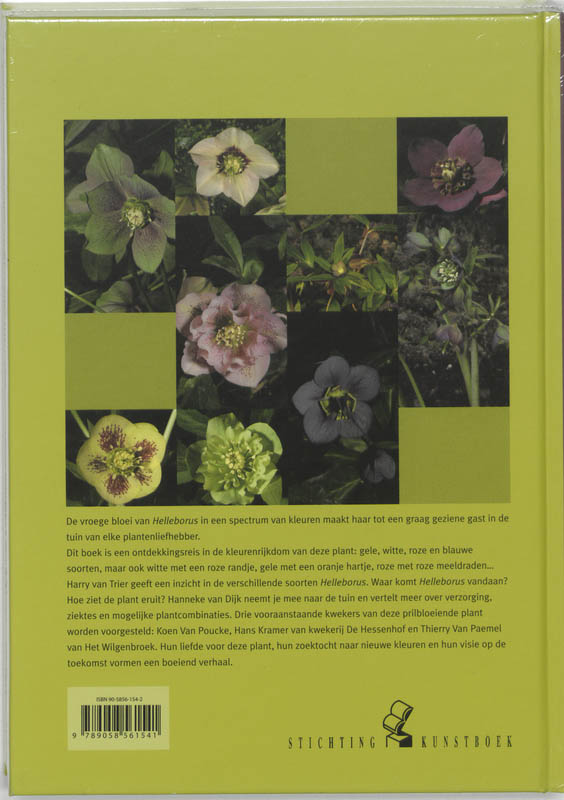 Achterkant van Helleborus