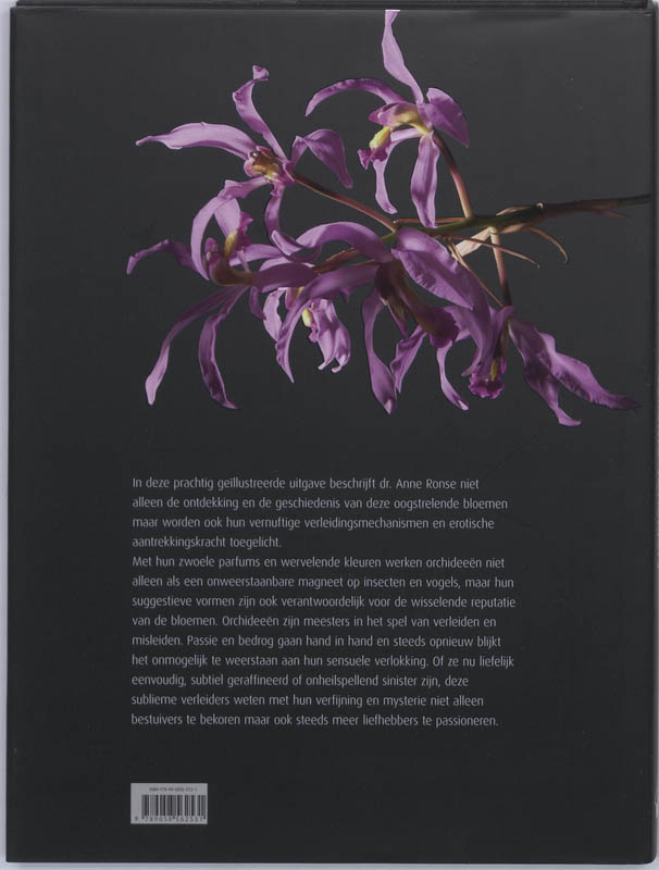 Achterkant van Orchideeen