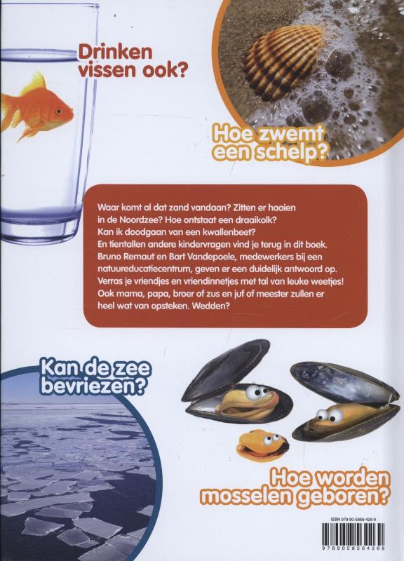 Achterkant van De zee