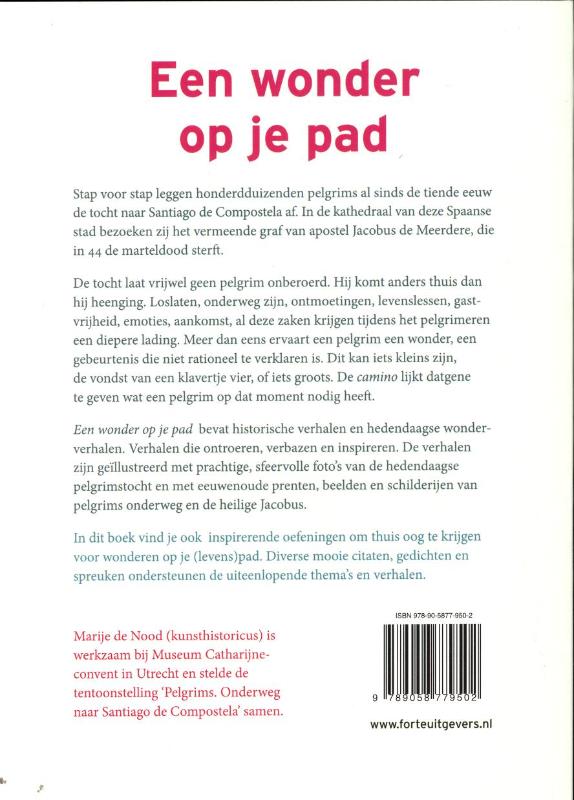 Achterkant van Een wonder op je pad