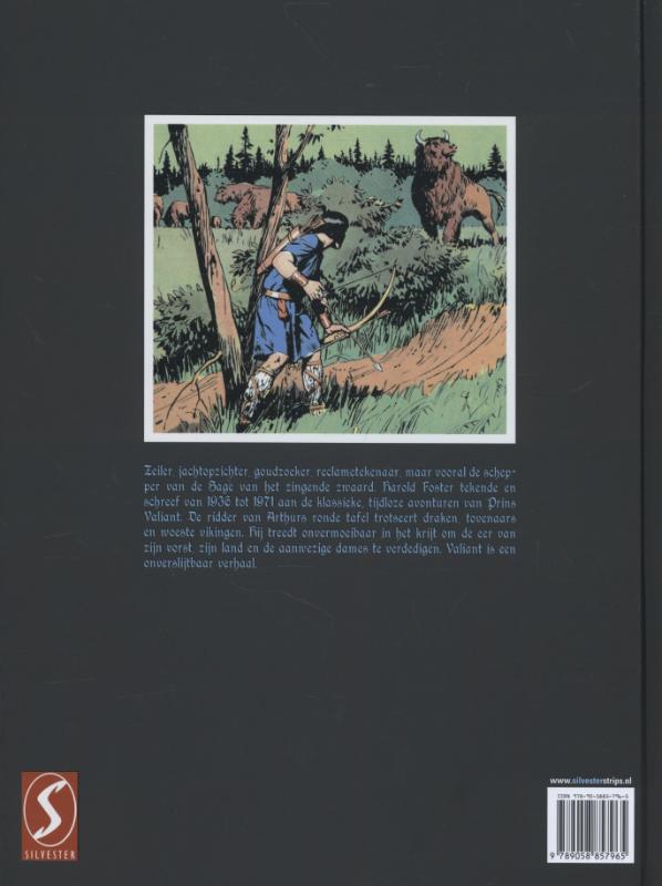 Achterkant van Prins Valiant
