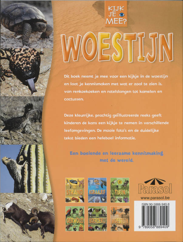 Achterkant van Woestijn