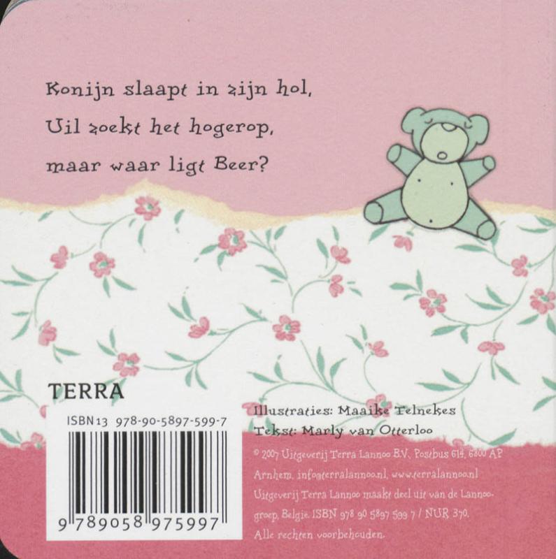 Achterkant van Slaap maantje slaap