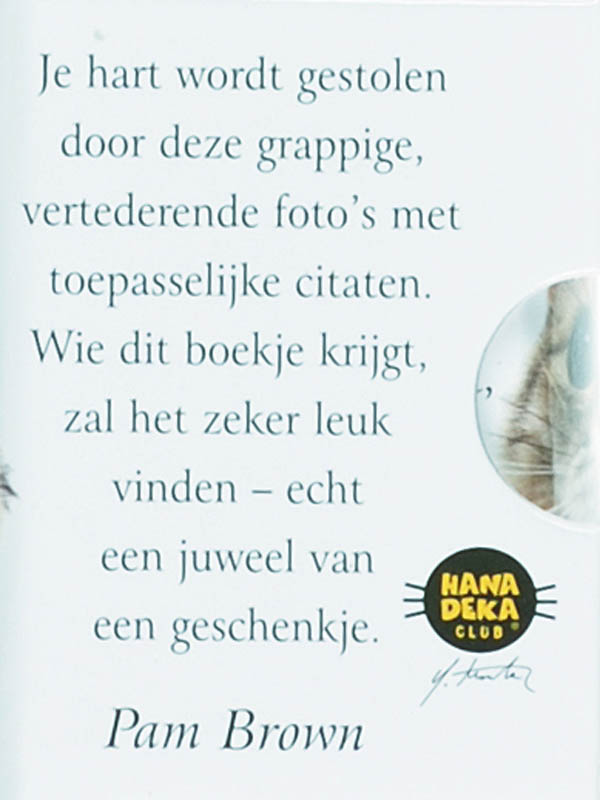 Achterkant van Katten