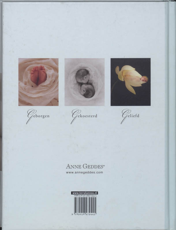 Achterkant van Dagboek van mijn zwangerschap